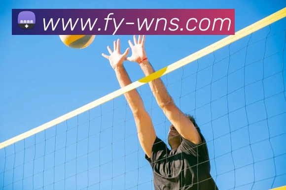 威尼斯人官网平台生态图